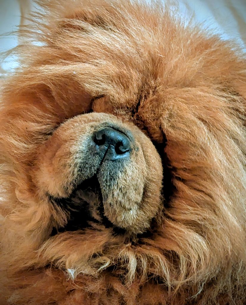 Publication : (Sans Affixe)