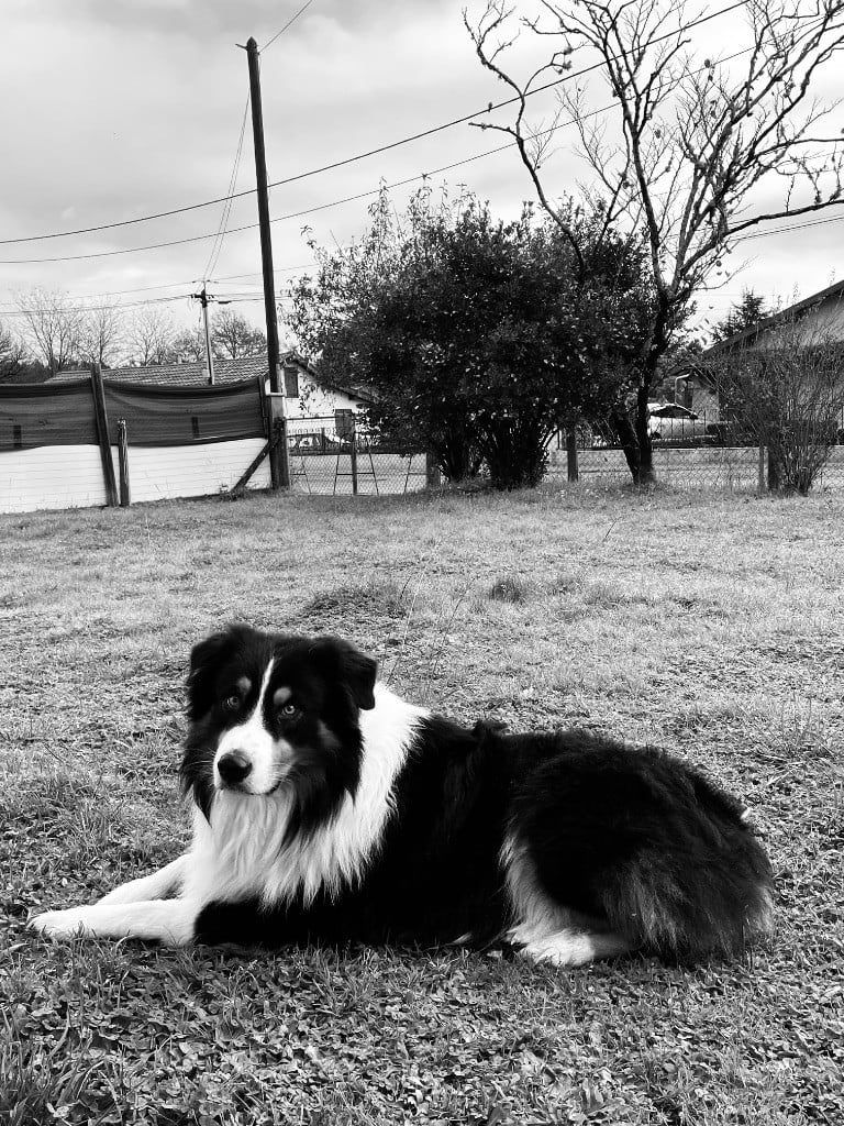 Publication : Andrea PARROT