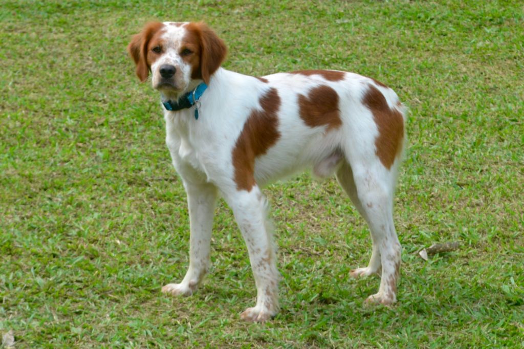 Publication : De La Vallée De Farino Auteur : M. Kirill YANAÏ