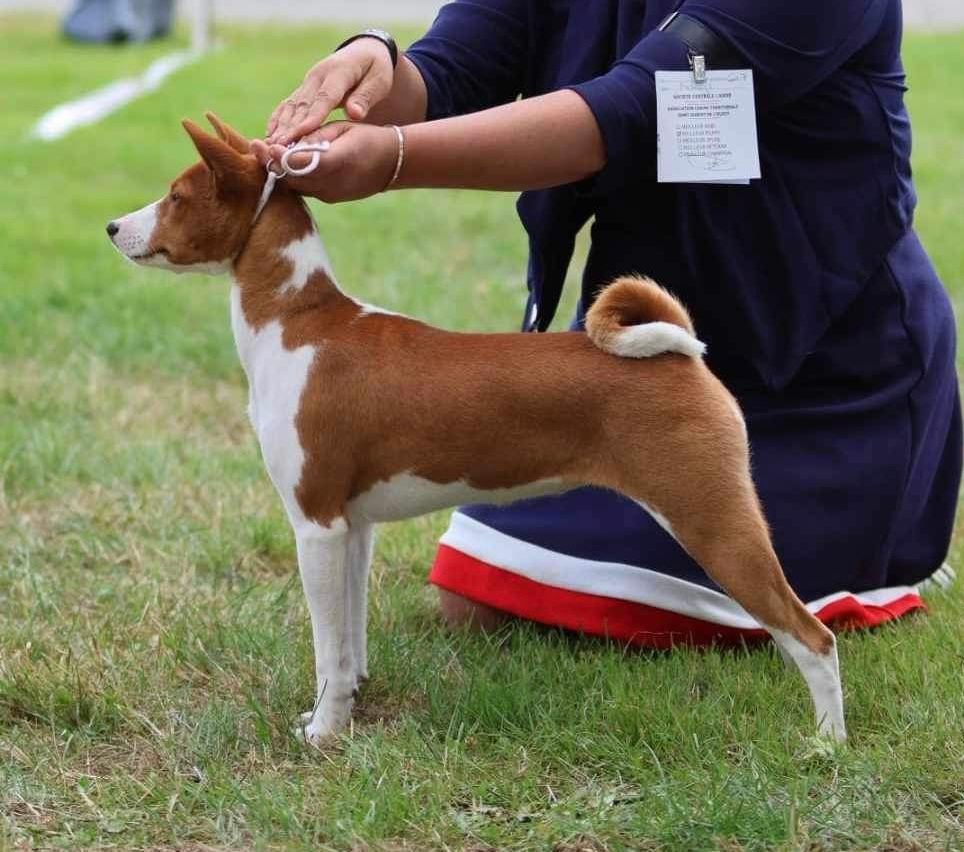 Publication : du Domaine de Kérarzic Vilin 