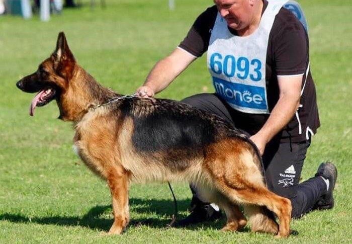 Publication : du val d'Anzin 