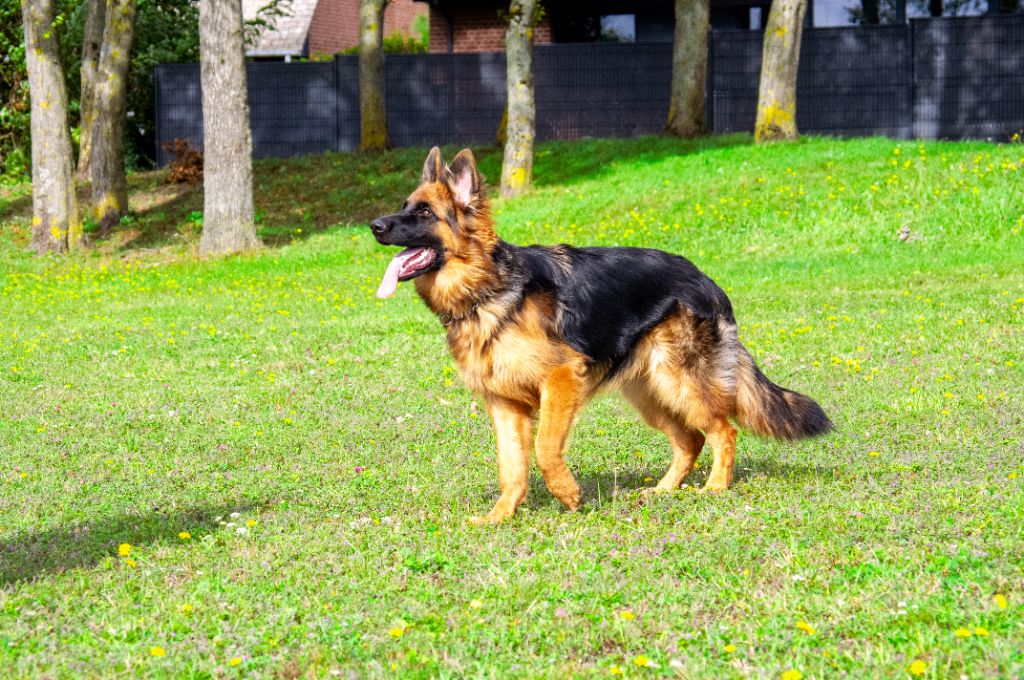 Publication : Des Ba De Somme 