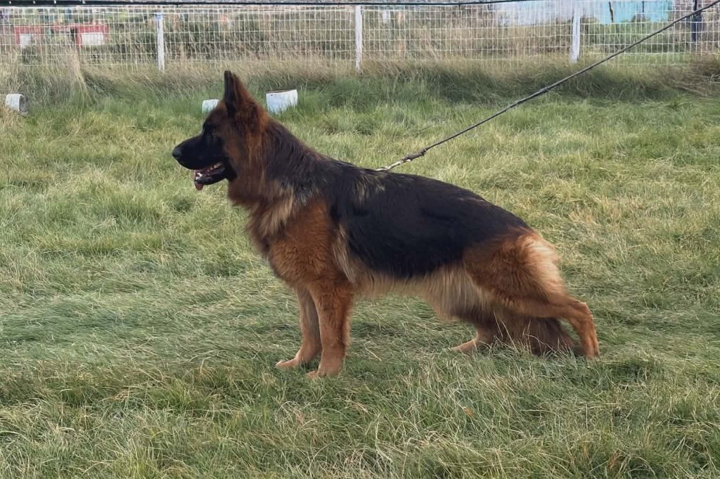 Publication : du val de siagne Auteur : BOCENO Romain