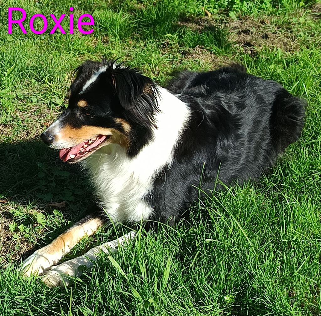 Publication : Du Petit Moulin 