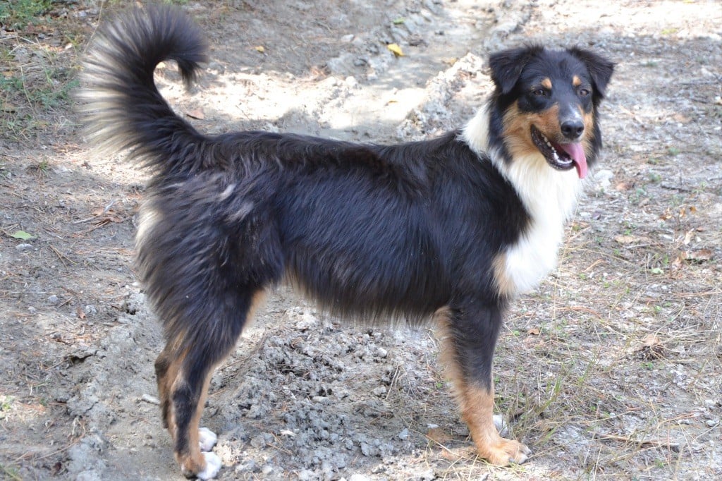 Publication : De L'Hubac De Lange