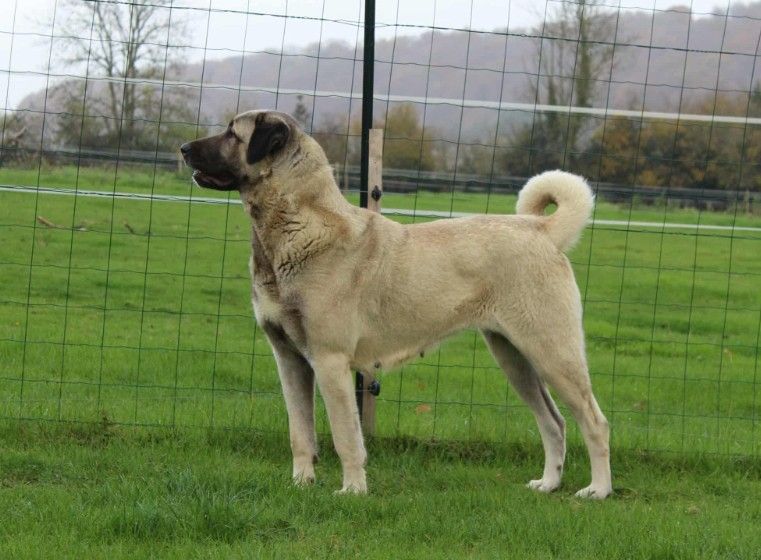 Publication : (Sans Affixe) 