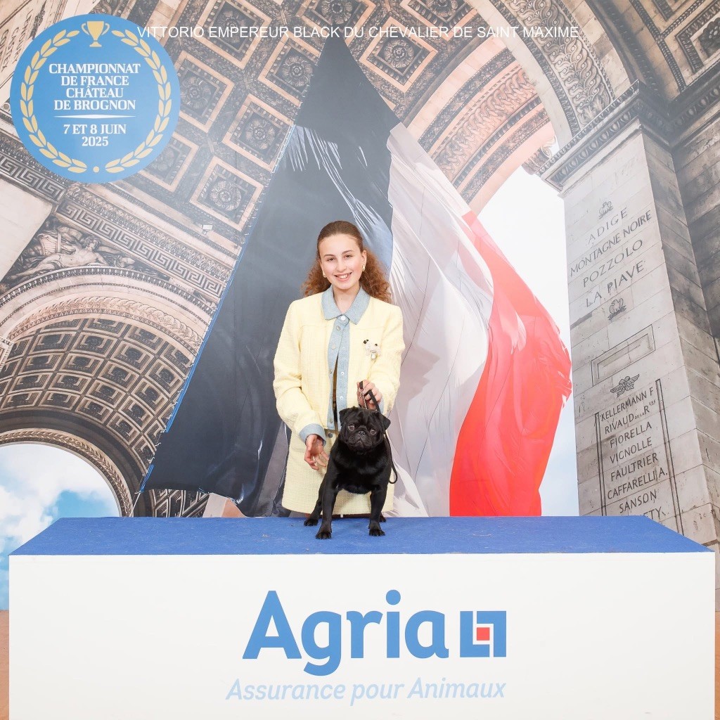 Publication : Du chevalier de saint maxime