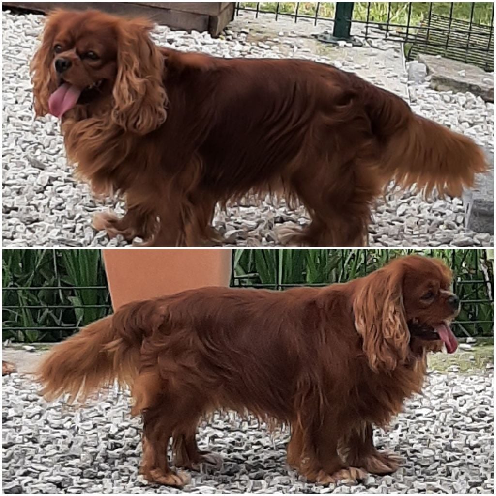 Publication : de la Vallée des Corbeaux