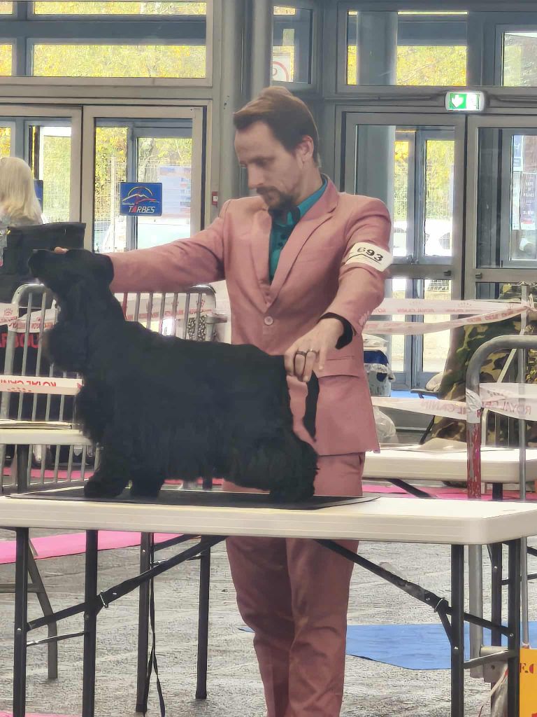 Publication : Du Diamant Marquise 