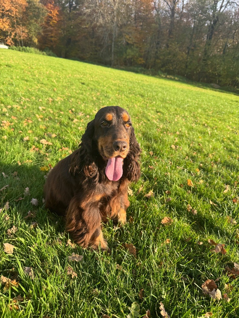 Publication : de la P'tite Mosellane