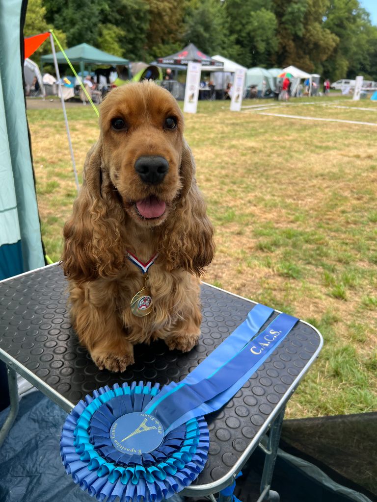 Publication : Du Diamant Marquise