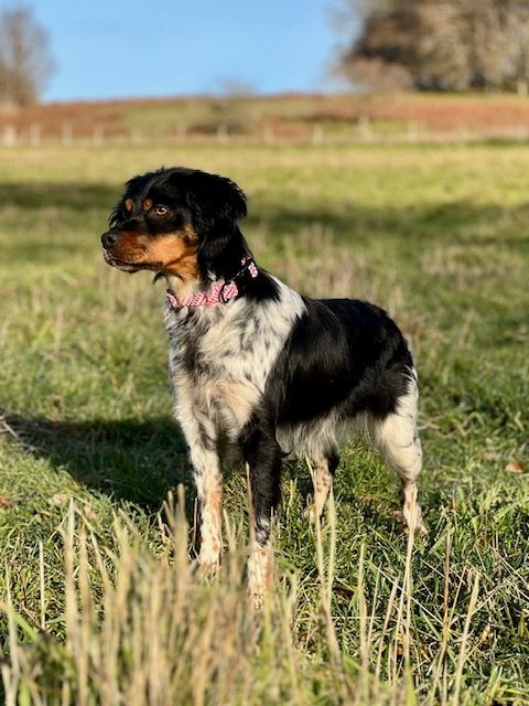 Publication : Du domaine de la villatelle