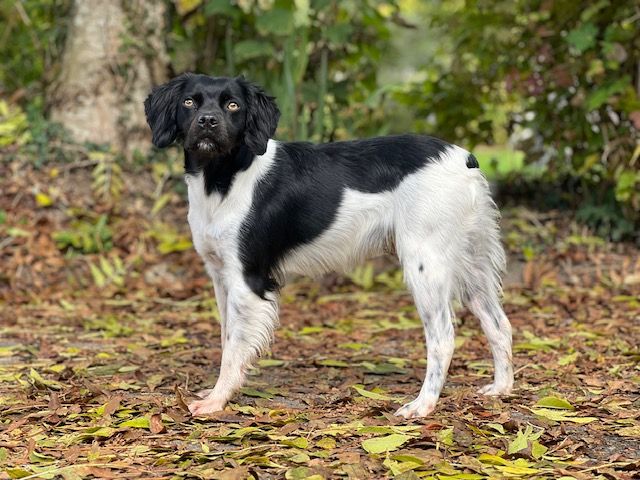 Publication : Du domaine de la villatelle 