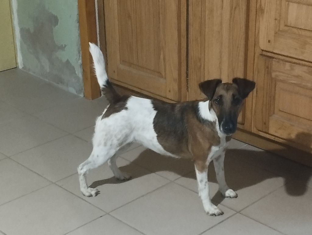 Publication : Des marais d'aulnoye Auteur : ruchon