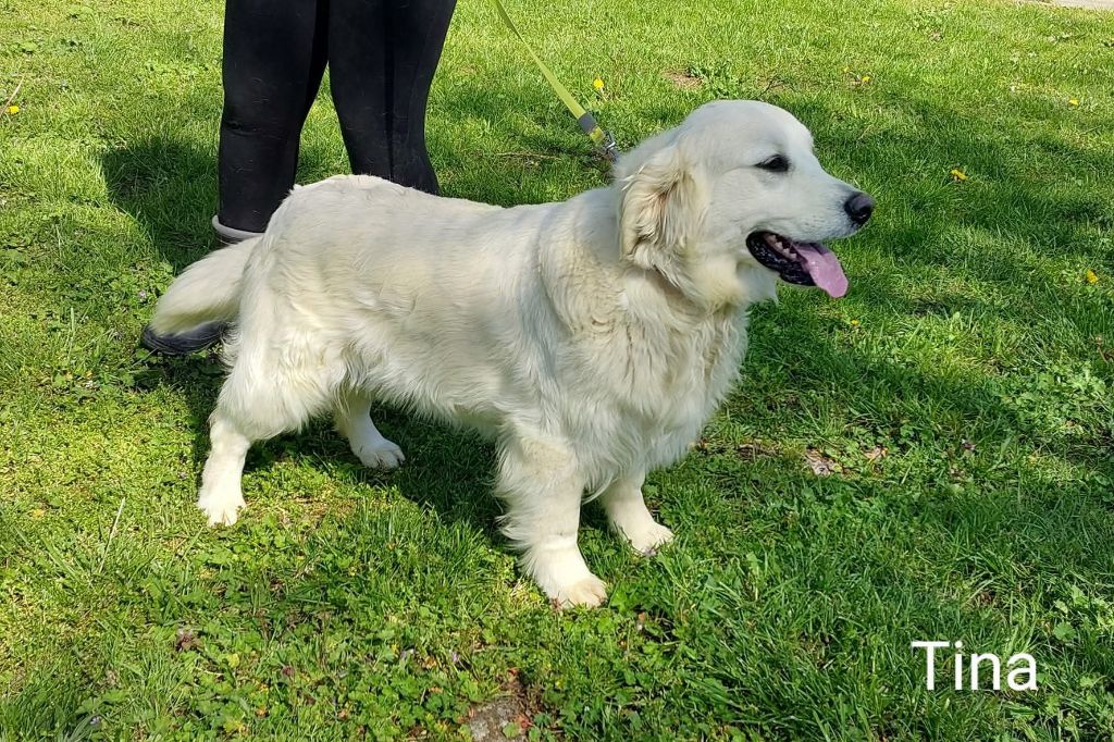 Publication : Du domaine des eurantes 