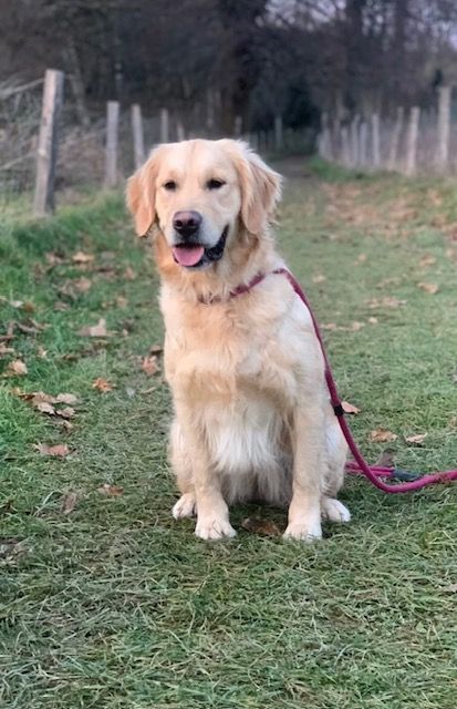 Publication : Du domaine de la villatelle