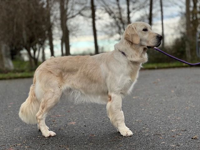 Publication : Du domaine de la villatelle 