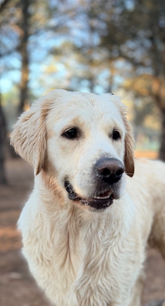 Publication : Du Clan De Soleil