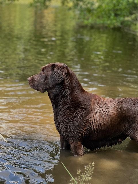 Publication : Du domaine de la villatelle 