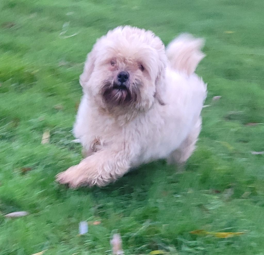 Publication : Des marais de courmont 