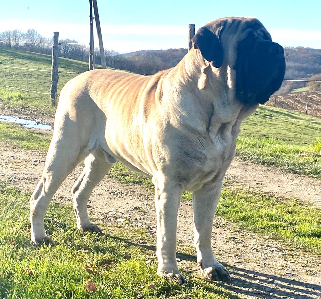 Publication : La Vallée Des Mountches