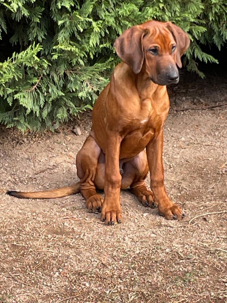 Publication : Zawadi N'zuri