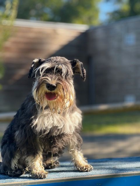 Publication : Du domaine de la villatelle