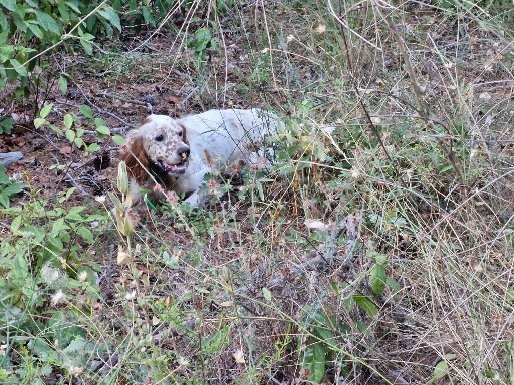 Publication : Du Mas De Brégançon 