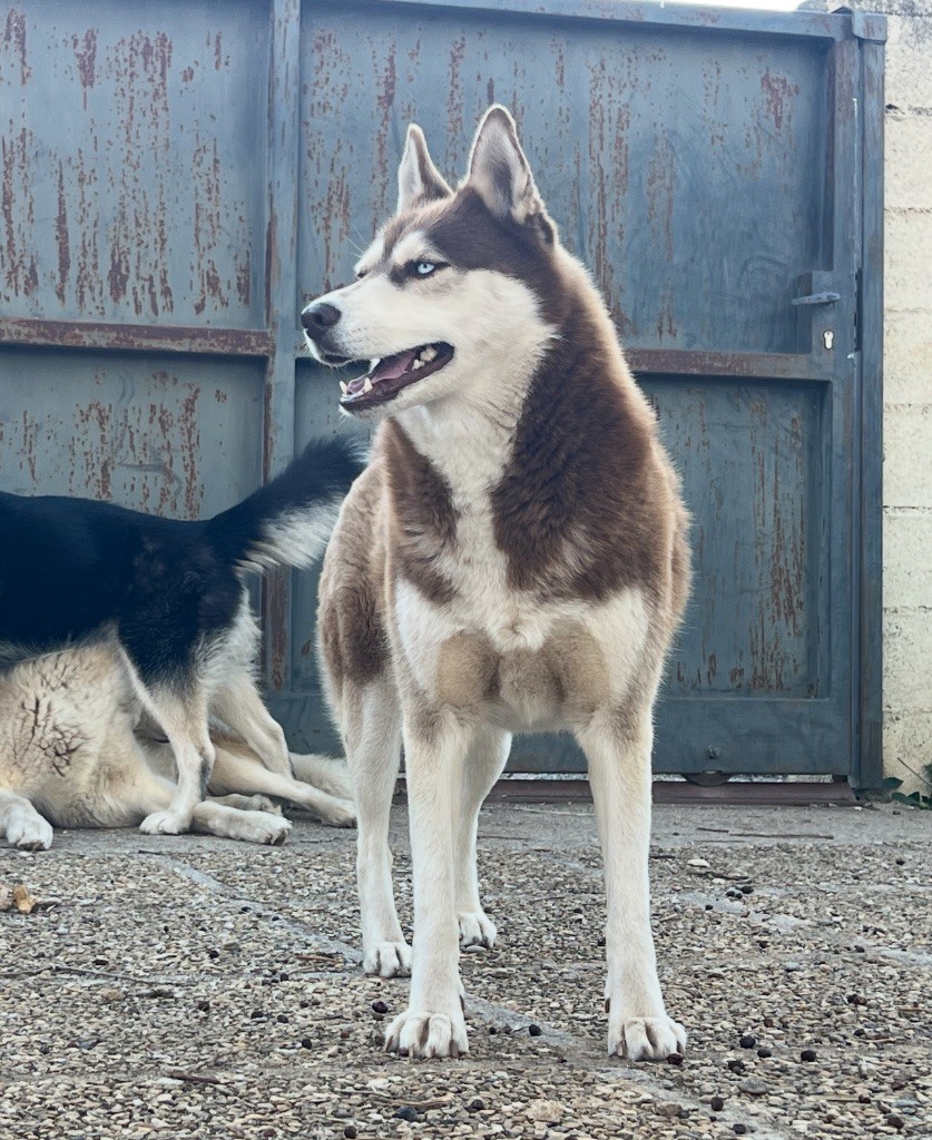 Publication : Of Seven’s Legacy 