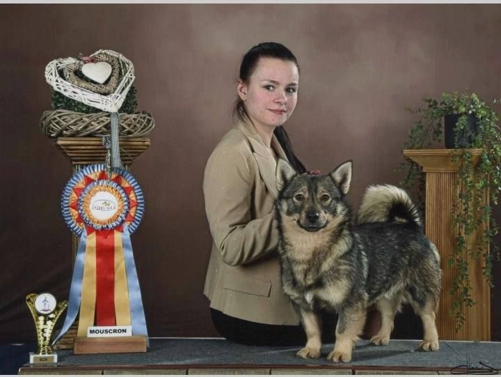 Publication : de l'Ame des Loups Auteur : Karl Donvil