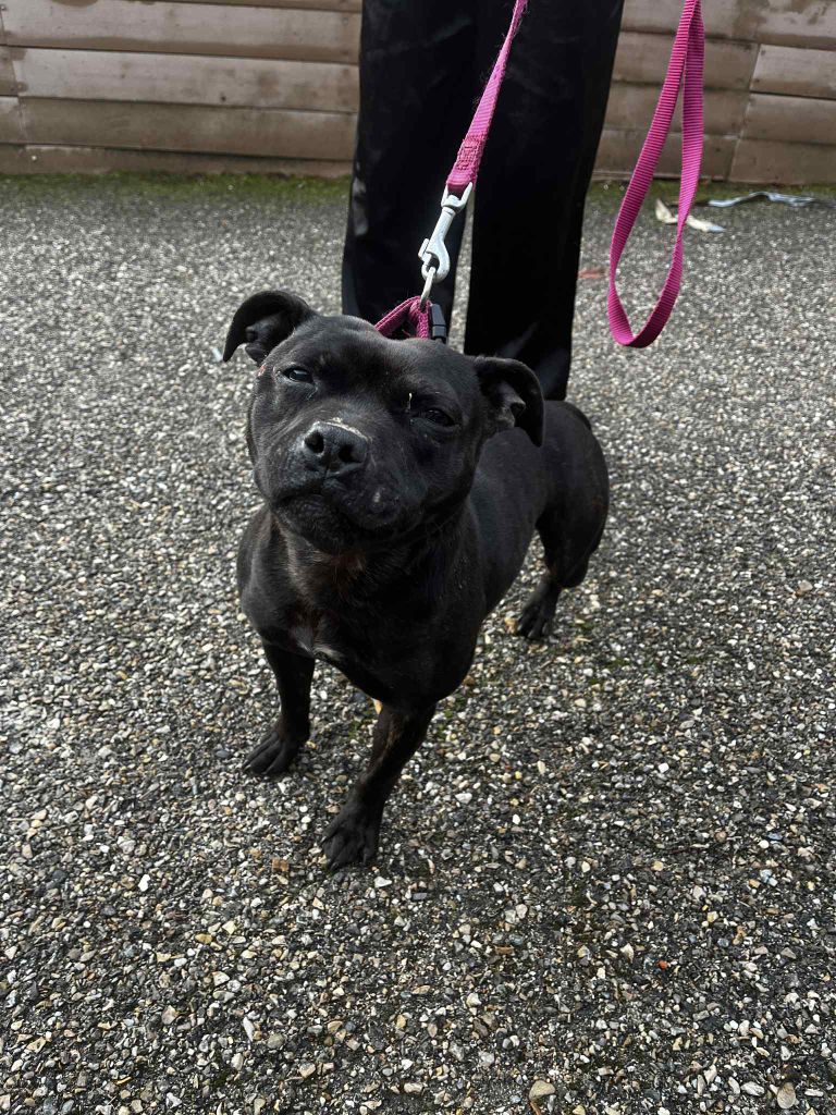 Publication : Du Corsaire Des Abers 