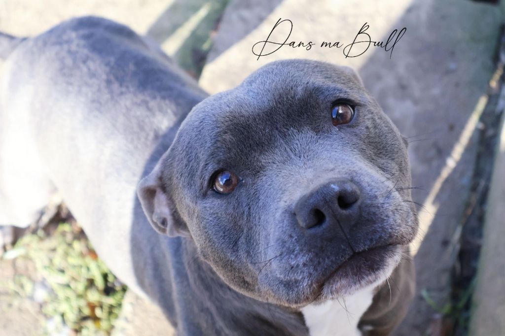 Publication : Dans Ma Bull 