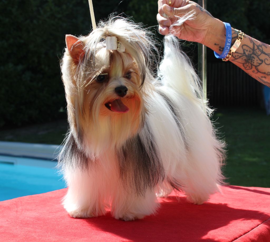 Publication : de La Maison De Folie