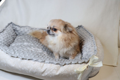 hd's Sunrise over the lakes