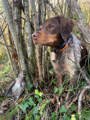 image de PLATON DE KERANLOUAN