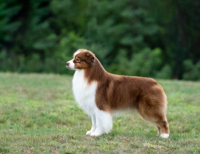 image de Bayshore Secret To Success At Arborview