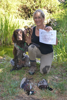 Étalon Chien d'Oysel allemand - Verone Du Val Des Houchis