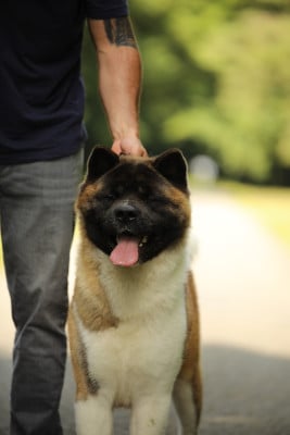 UGAN Des Gardiens De L'arche De Noé
