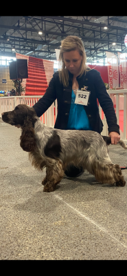 image de Una estrella del amore