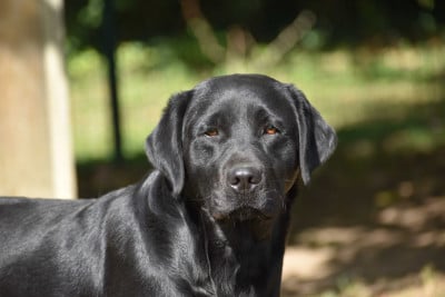 Usoa Des bories de yakoubia
