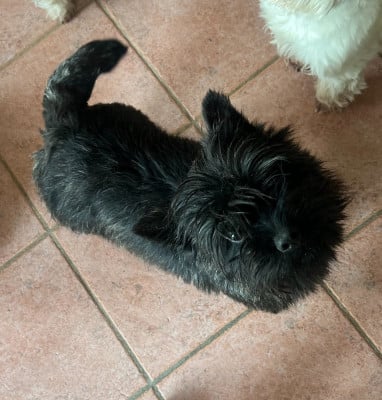 image de UNE BELLE SURPRISE