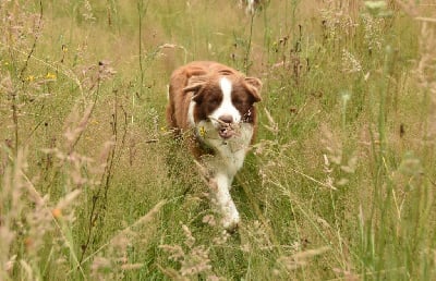 Ultra red folie des Collines de Sagne