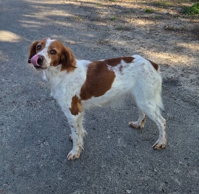 Sunny Du Paradis Des Anges