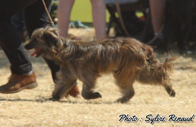 Publication : du Champ D'Onix