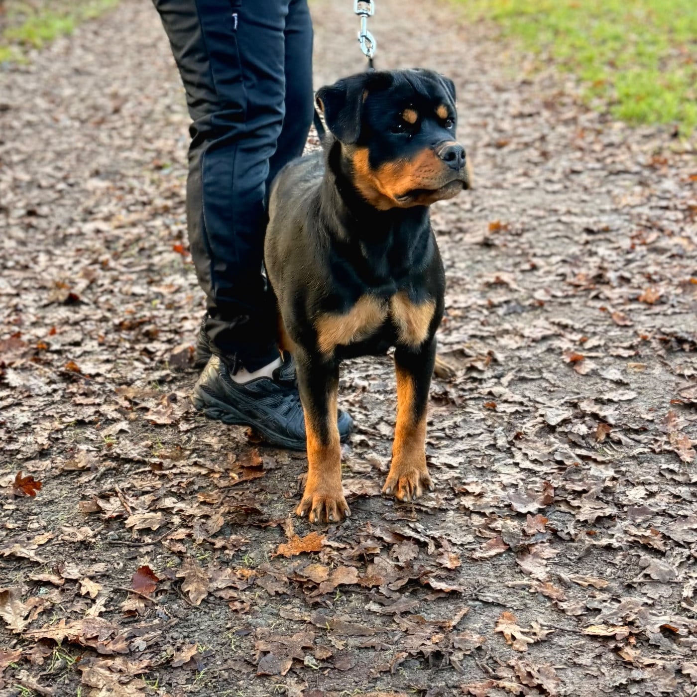 Publication : Des Flammes De La Nuit 