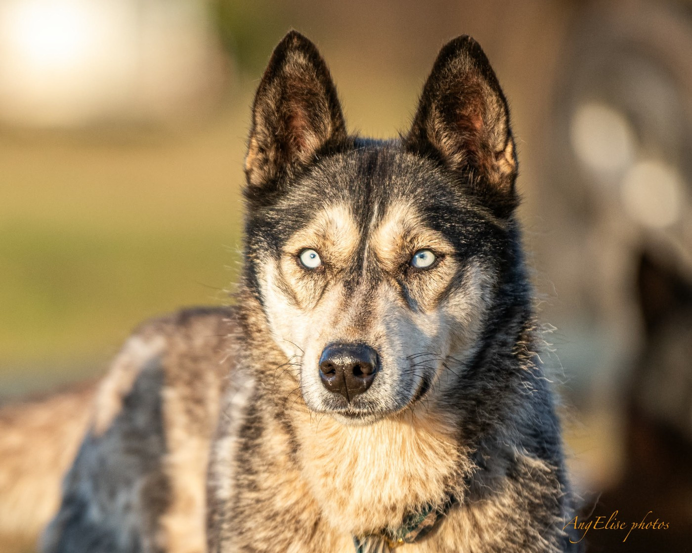 Publication : Of Northern Lights Spirit 