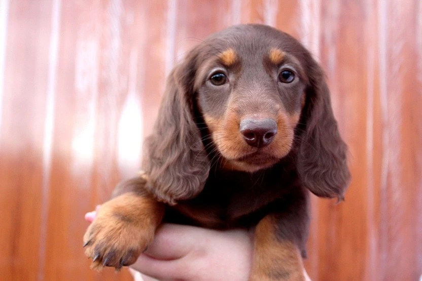 Publication : Of Moonlight Blue