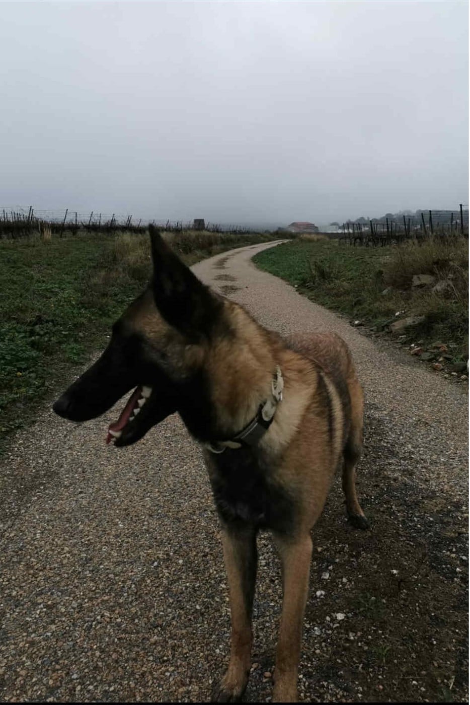 Publication : maski du van lappeenranta Auteur : DC