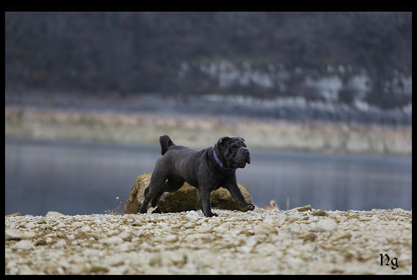 Publication : du Nuorilang Auteur : Nuorilang
