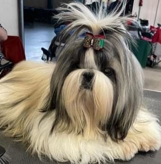 Publication : Taihe Dian